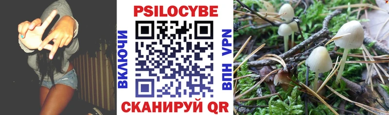 Псилоцибиновые грибы Magic Shrooms  Усть-Лабинск 